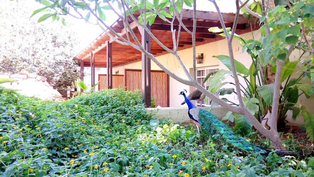 Kibbutz Tiratzvi - Country Lodging Tirat Zevi Dış mekan fotoğraf