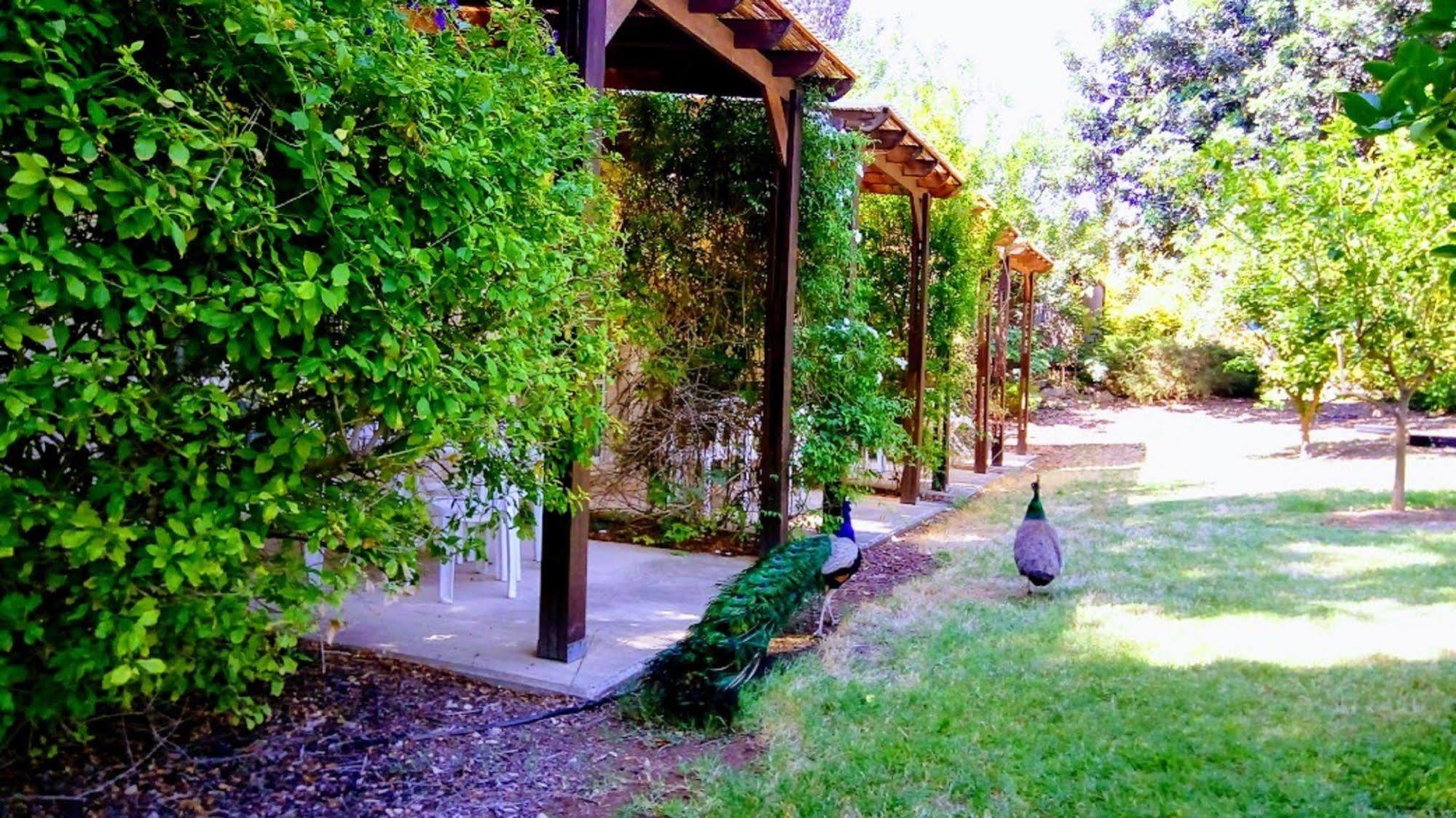 Kibbutz Tiratzvi - Country Lodging Tirat Zevi Dış mekan fotoğraf